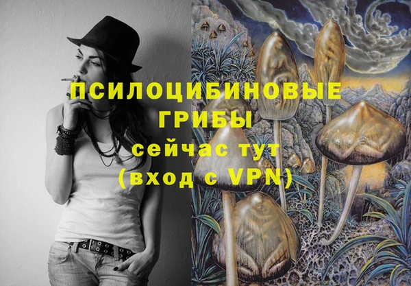 MDMA Premium VHQ Абаза