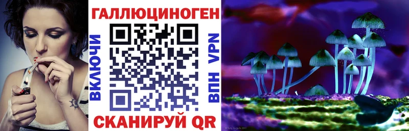 kraken как зайти  Адыгейск  Псилоцибиновые грибы Psilocybine cubensis 